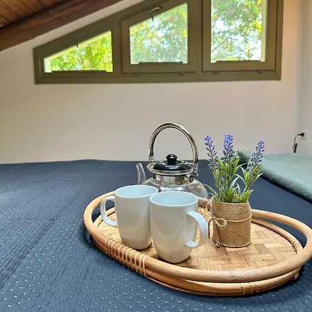 Just Langhe Casa Barolo *