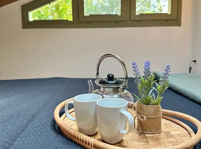 Just Langhe Casa Barolo *